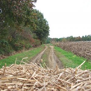 Hayride