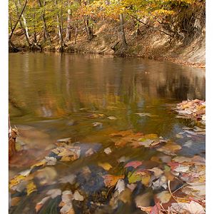 A Southern Maryland Fall