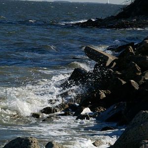 Cheasapeake Bay vs Shore Line