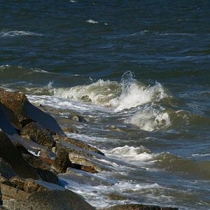 Cheasapeake Bay vs Shore Line