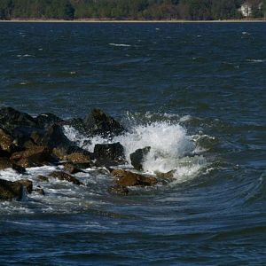 Cheasapeake Bay vs Shore Line