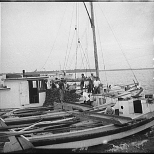 The buy boat of the oyster fleet. Rock Point, Maryland, 1936