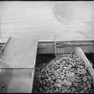 A long day work for an oysterman. Rock Point, Maryland, 1936