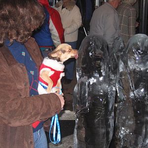 Leonardtown Christmas on the Square