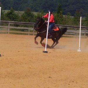 carles county fair 4h horse show 06