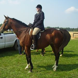 carles county fair 4h horse show 06