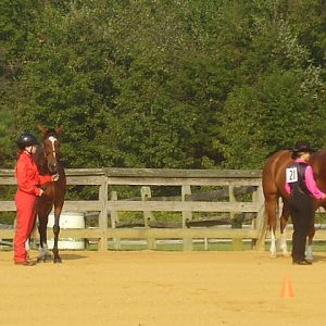 cc fair 4h horse show