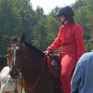 cc fair 4h horse show