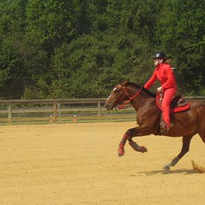 cc fair 4h horse show