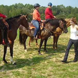 cc fair 4h horse show