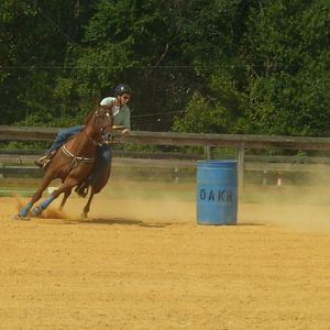 cc fair 4h horse show