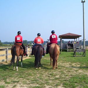 cc fair 4h horse show