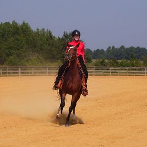 cc fair 4h horse show