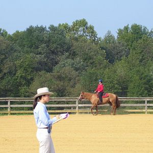 cc fair 4h horse show