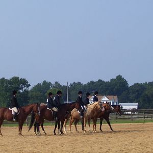 cc fair 4h horse show