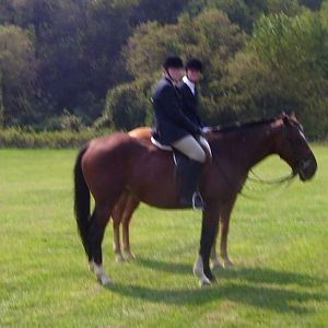 cc fair 4h horse show