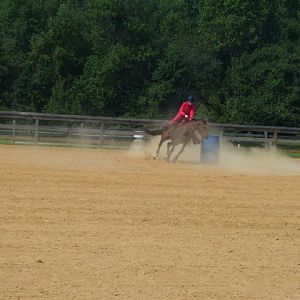 cc fair 4h horse show