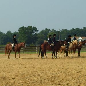 cc fair 4h horse show