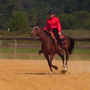 cc4h horse show 06