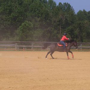 cc4h horse show 06