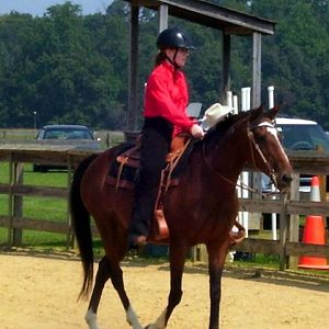 cc4h horse show 06