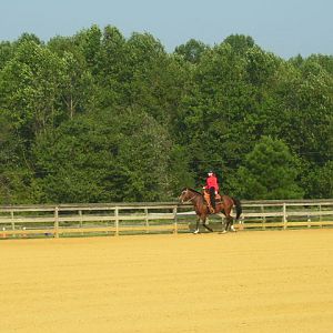 cc4h horse show 06