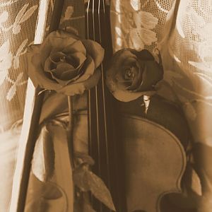 Violin & Roses Sepia