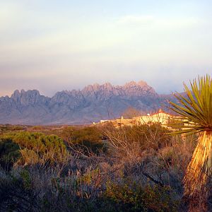 Organ Mtns at sunset Las Cruces NM