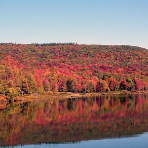 Canaan Valley WV pond in fall