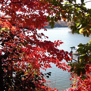 Lewis Creek in fall