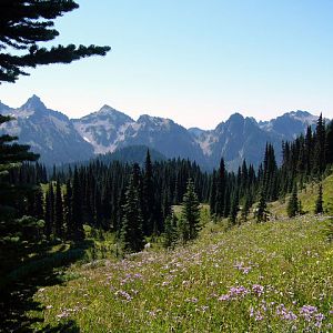 Mt Rainier Nat Park