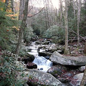 Tenn Smokies  Oct 2004