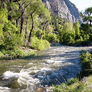 Stream in Utah