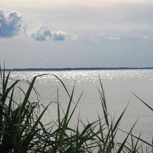 Chesapeake Bay from Cove Lake