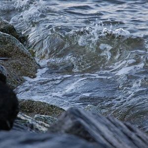 The water at Point Lookout was cool (if not really cold!)