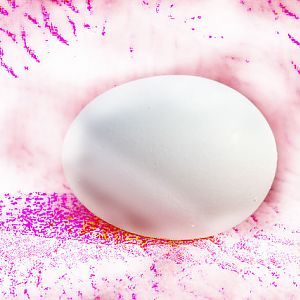 EGG_1825