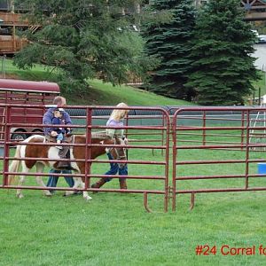 #24 Animal corral