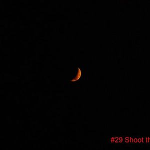 #29 Shoot the moon