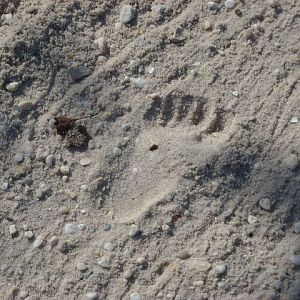 21_Footprint