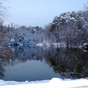 Snow_March_2009_474