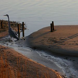 On Breton Bay