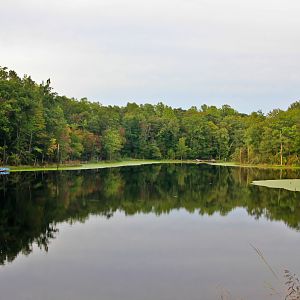 A small lake off of 235