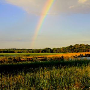 Breton Bay Rainbow