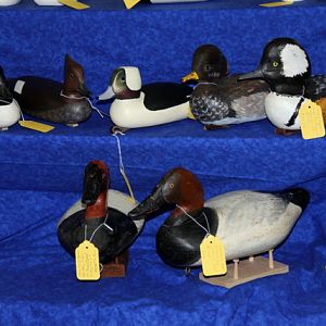 Waterfowl Festival 1