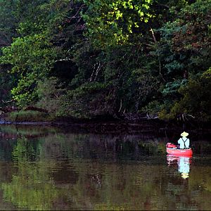 Morning Fisherman