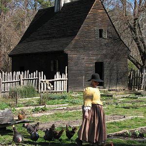 Godiah Spray Tobacco Plantation