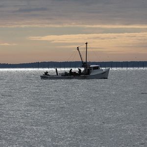 Early Morning Oystering