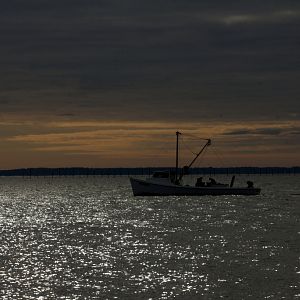 Early Morning Oystering