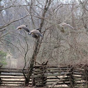 Colonial Farm National Park