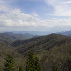 Smokies_2